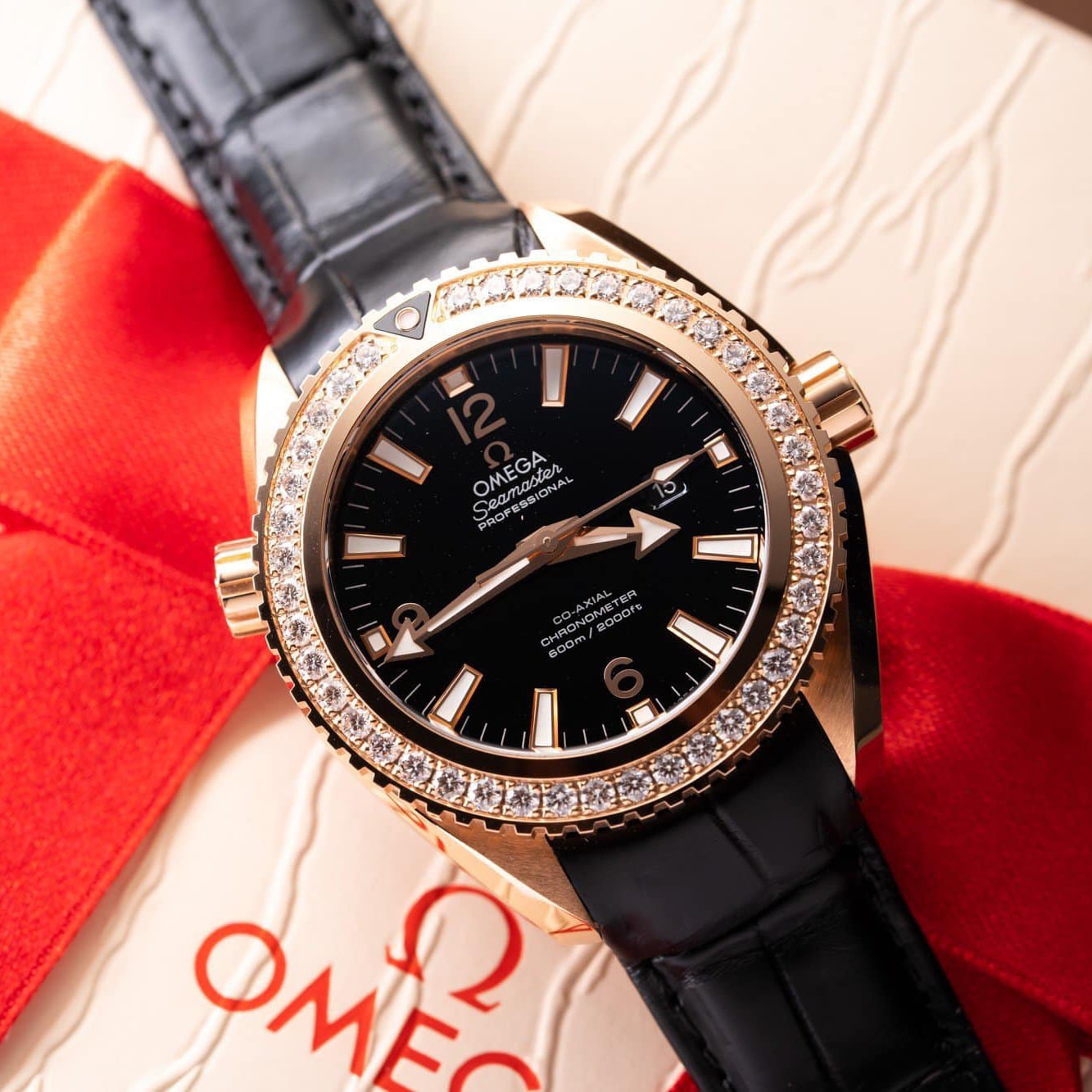 Omega Seamaster Planet Ocean 600M Co-Axial 232.58.38.20.01.001